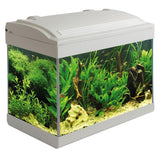 Acquario 40cm con LED