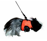 LEO PET - Pettorina Sport con Guinzaglio