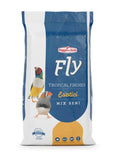 RAGGIO DI SOLE -  FLY Esotici