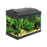 Acquario 40cm con LED