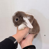 CONIGLIO - Nano Ariete