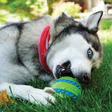 KONG - Squeezz Goomz Ball