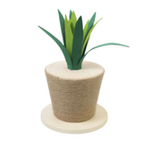 LEO PET - Tiragraffi Vaso Agave