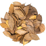 Foglie per substrato 250gr