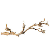 ASKOLL - Forest Branch