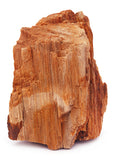 ROCCIA - Ambra Fossile
