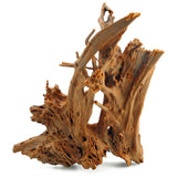 Legno di Mangrovia