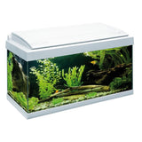 Acquario 60cm con LED