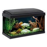 Acquario 60cm con LED