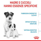 ROYAL CANIN - Cane MINI STARTER Mother & Babydog 1 Kg