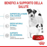 ROYAL CANIN - Cane MINI STARTER Mother & Babydog 1 Kg