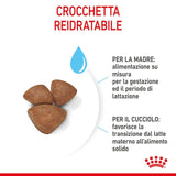 ROYAL CANIN - Cane MINI STARTER Mother & Babydog 1 Kg