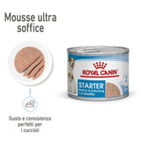 ROYAL CANIN - Starter Mousse Mother & Babydog 195g