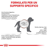 ROYAL CANIN - Gastrointestinal Puppy Secco
