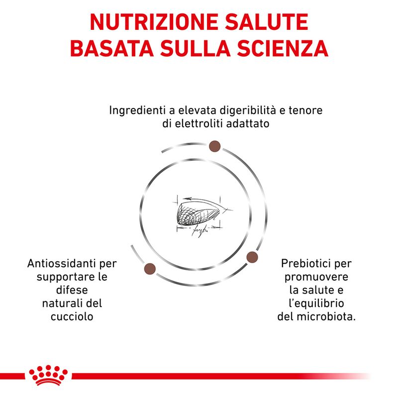 ROYAL CANIN - Gastrointestinal Puppy Secco