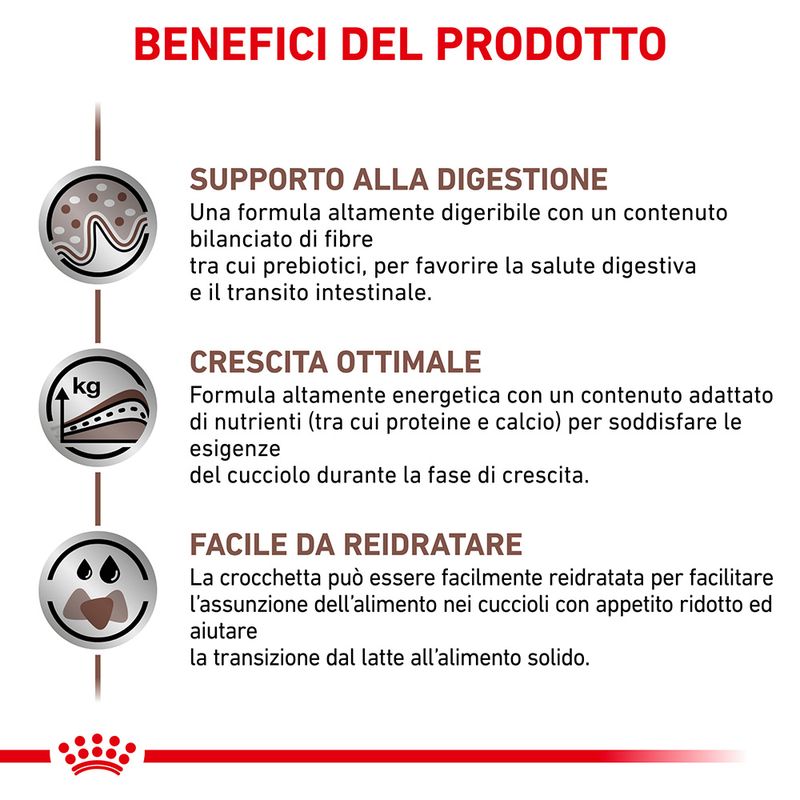 ROYAL CANIN - Gastrointestinal Puppy Secco