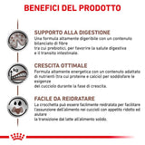 ROYAL CANIN - Gastrointestinal Puppy Secco
