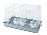 MPS - Gabbia Uccelli Cova 2