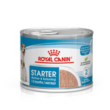ROYAL CANIN - Starter Mousse Mother & Babydog 195g