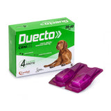 CANDIOLI - Duecto Cane 20-40 kg